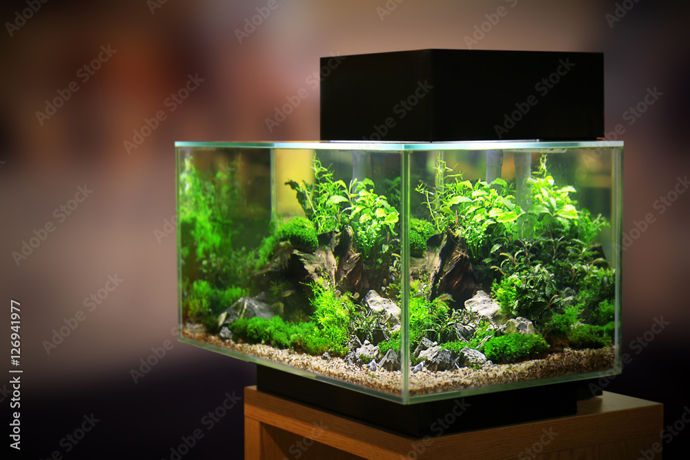 Aquariumkombination JUWEL Rio 180 SBX mit LED-Beleuchtung, Heizer, Filter und Unterschrank schwarz